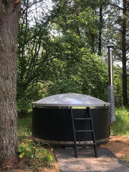 Forest Cabin Ozolaine Bagian luar foto