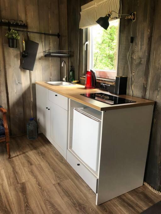 Forest Cabin Ozolaine Bagian luar foto