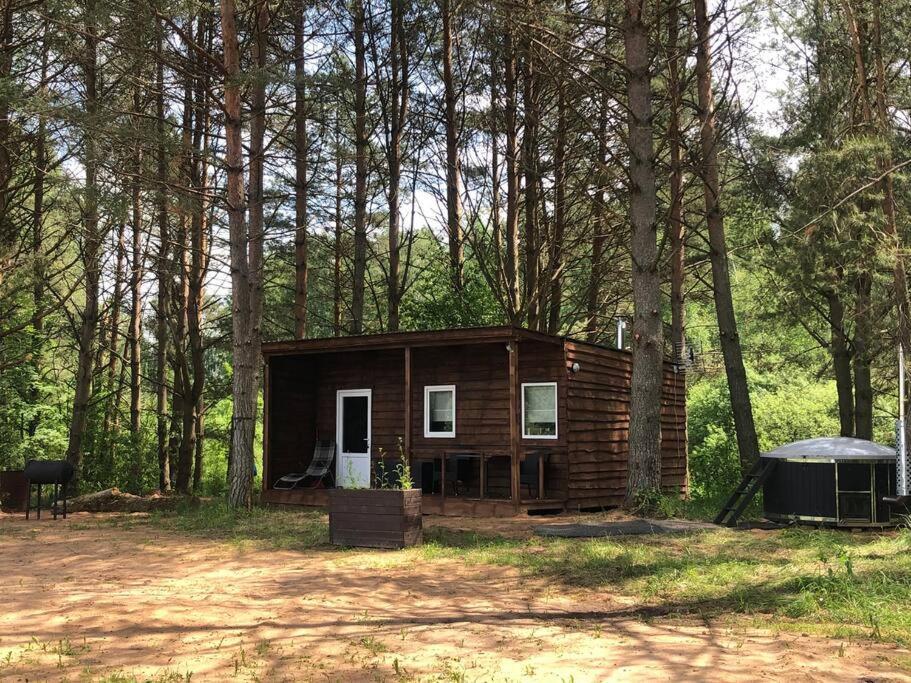 Forest Cabin Ozolaine Bagian luar foto